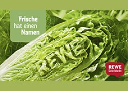 frische_thumb